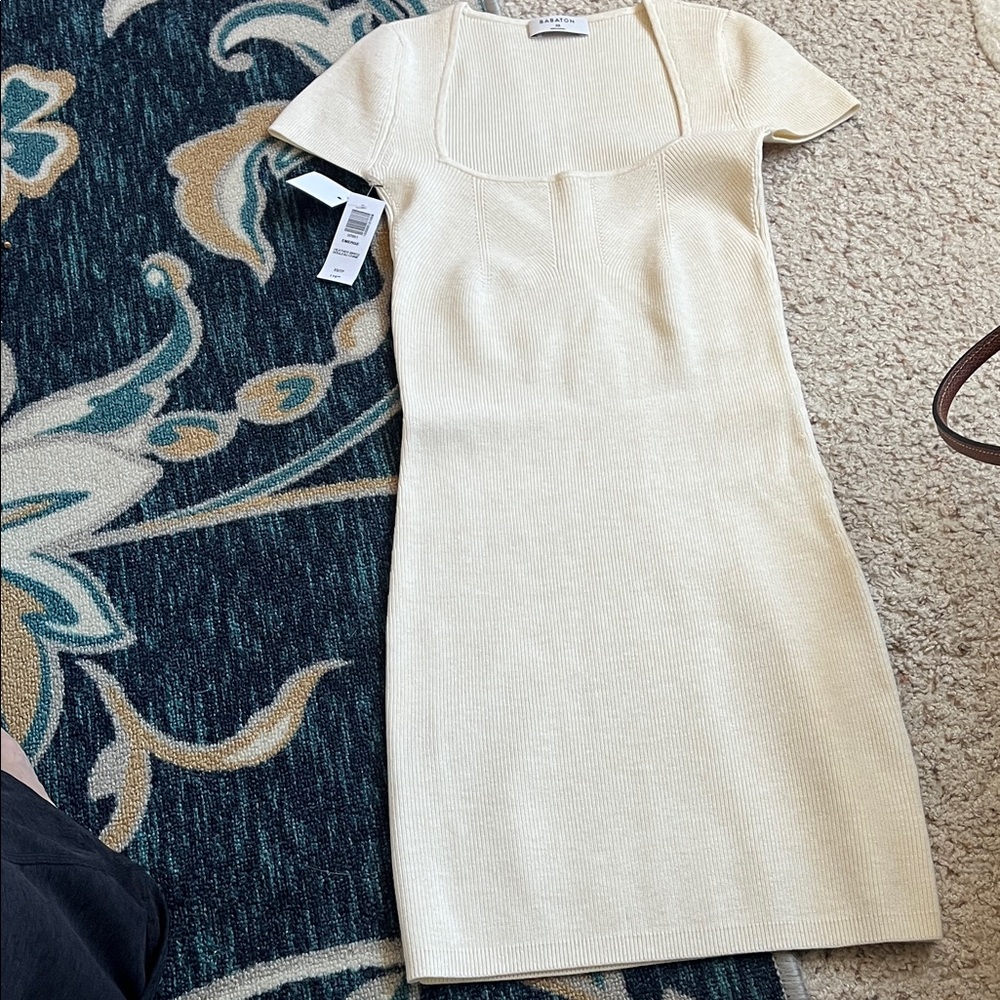 Aritzia Babaton ribbed knit mini dress